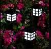 Set 6 Lampi Solare De Gradina Cu Iluminare Automata Pana La 10 Ore
